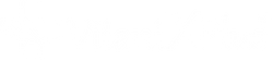VitaniX Plus