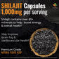 VitaniX Plus – Himalayan Shilajit with Tongkat Ali, Ashwagandha & Sea Moss